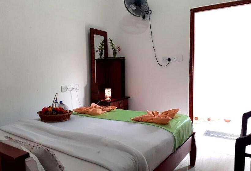 Standard Szoba, Subash