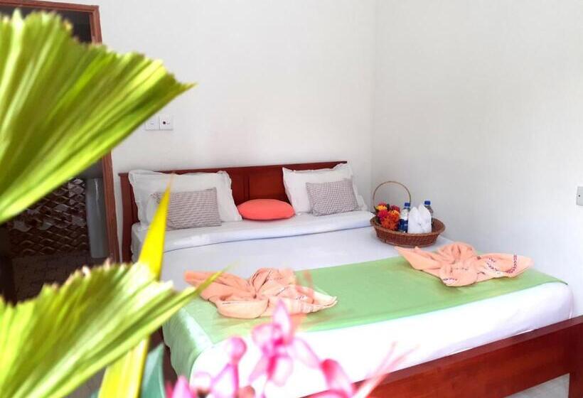 Standard Szoba, Subash