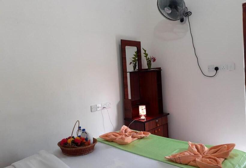 Standard Szoba, Subash