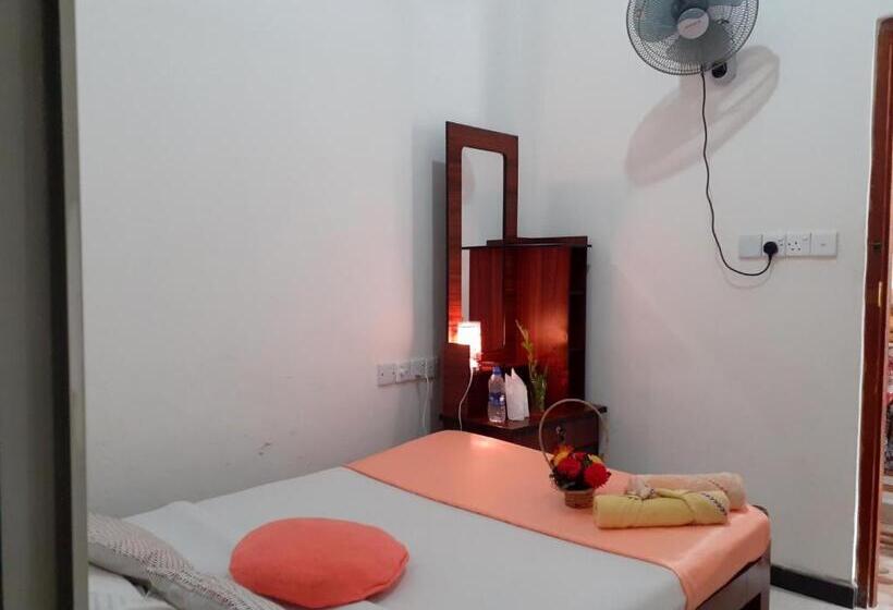 Standard Szoba, Subash