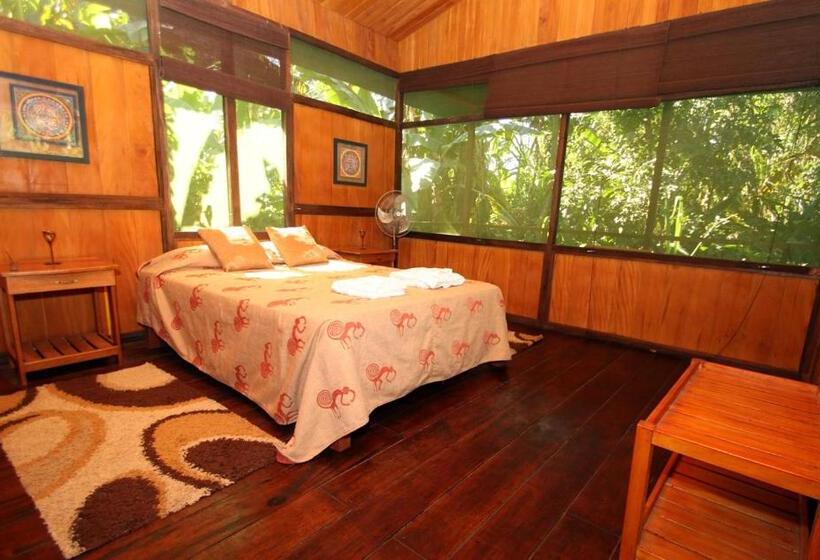 سوئیت با چشمانداز رودخانه, Amazon Planet