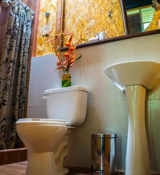 سوئیت با چشمانداز رودخانه, Amazon Planet