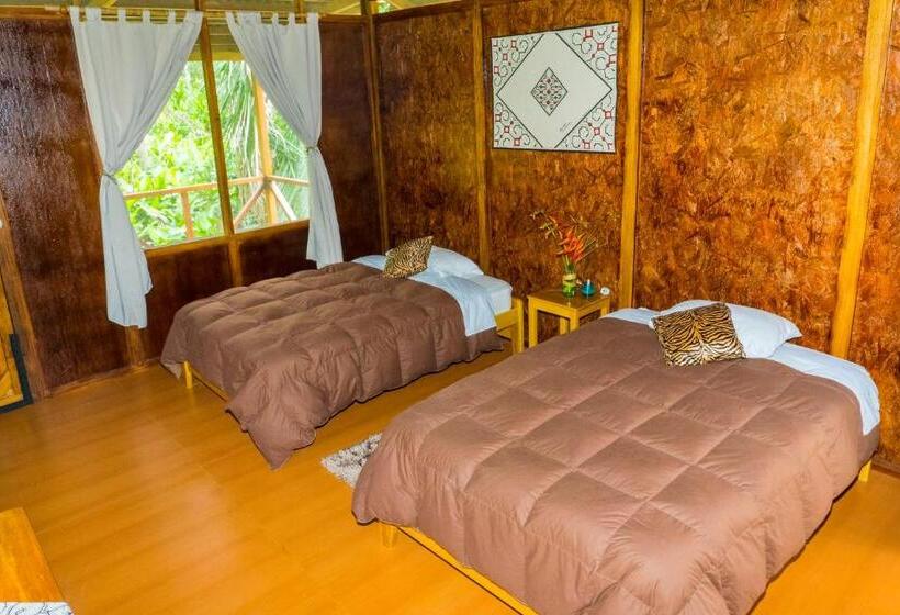 Superior Room with Terrace, Amazon Planet