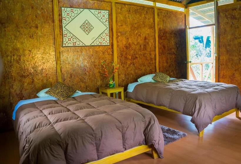 Superior Room with Terrace, Amazon Planet