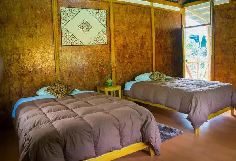 Superior Room with Terrace, Amazon Planet