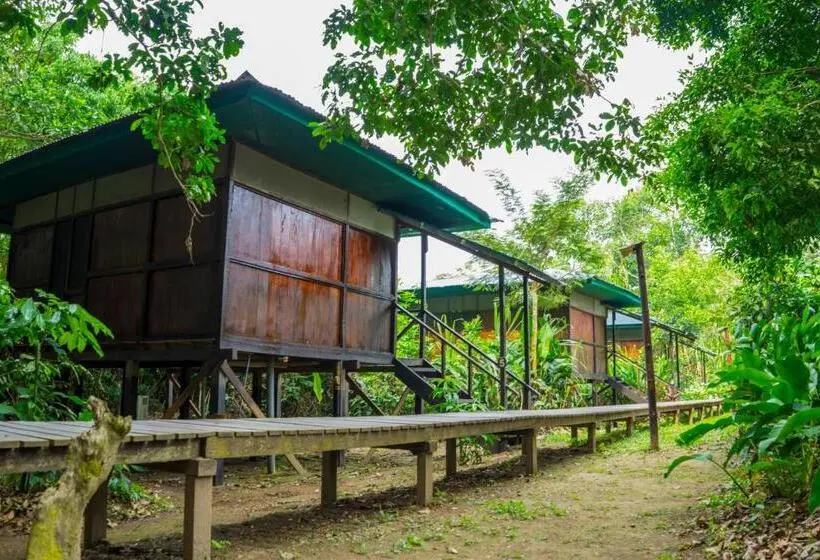 Superior Room with Terrace, Amazon Planet