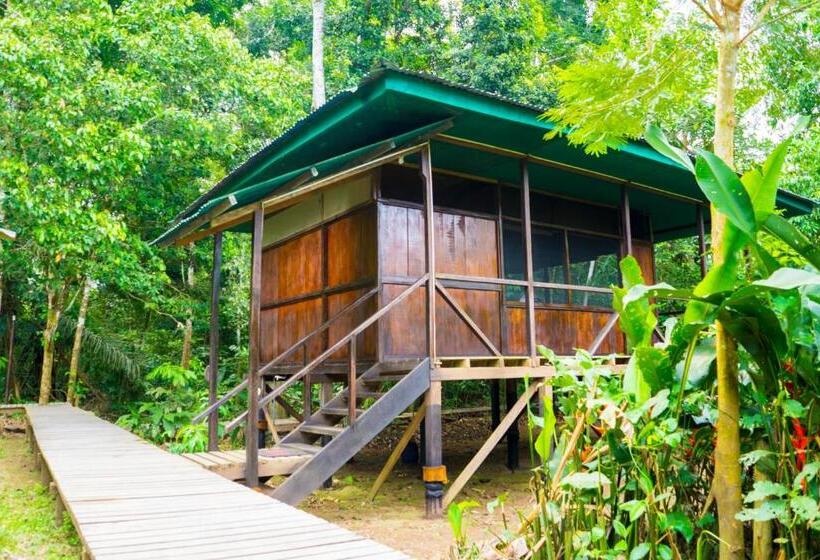 Superior Room with Terrace, Amazon Planet