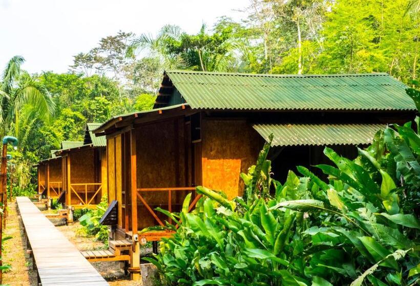 اتاق سوپریور سه تخته, Amazon Planet