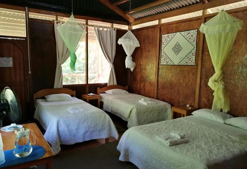 اتاق سوپریور سه تخته, Amazon Planet