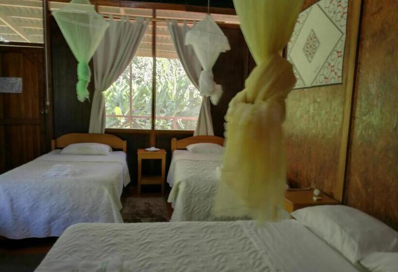 اتاق سوپریور سه تخته, Amazon Planet