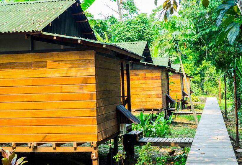 اتاق سوپریور سه تخته, Amazon Planet