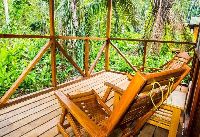 اتاق سوپریور سه تخته, Amazon Planet