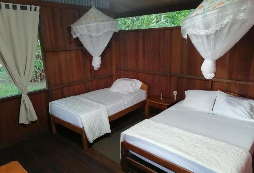 اتاق سوپریور خانوادگی, Amazon Planet