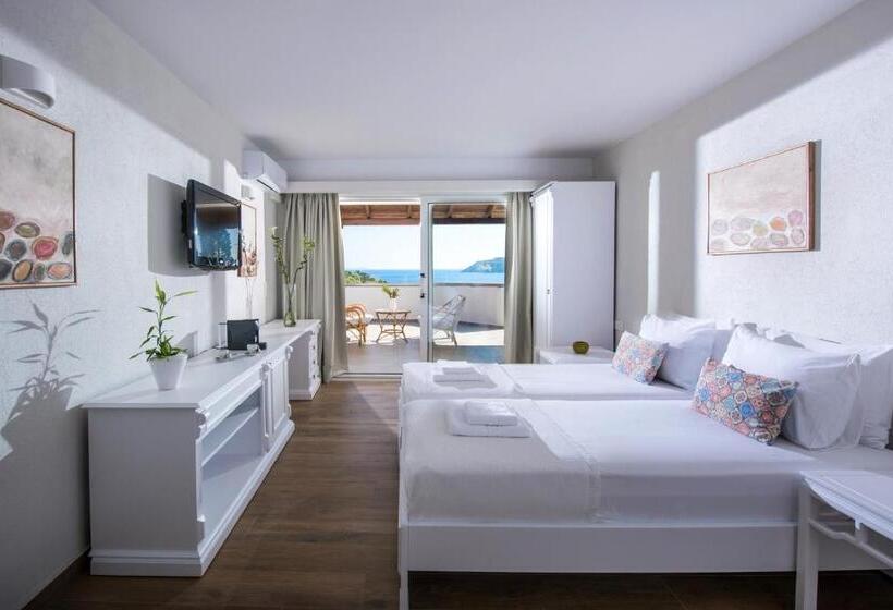 高级套房带海景, Alexander House