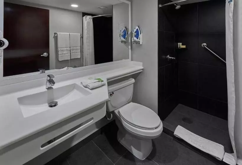 اتاق استاندارد, City Express By Marriott Tijuana Rio