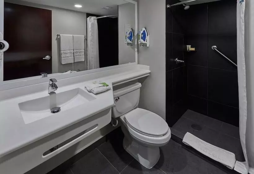 اتاق سوپریور, City Express By Marriott Tijuana Rio