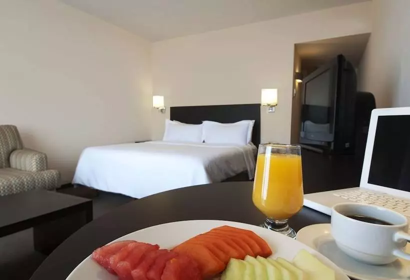 اتاق لوکس با چشمانداز استخر, Fiesta Inn Cuernavaca