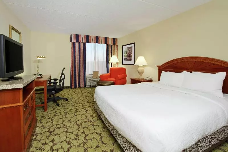 キングサイズベッドのスタンダードルーム, Hilton Garden Inn Chesapeake/greenbrier