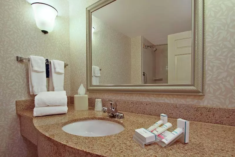 キングサイズベッドのスタンダードルーム, Hilton Garden Inn Chesapeake/greenbrier