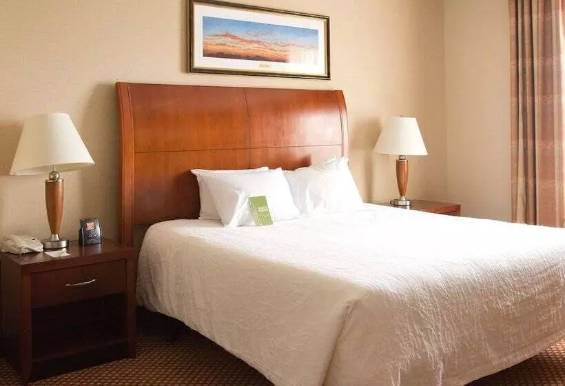 スタンダードルーム, Hilton Garden Inn Laramie