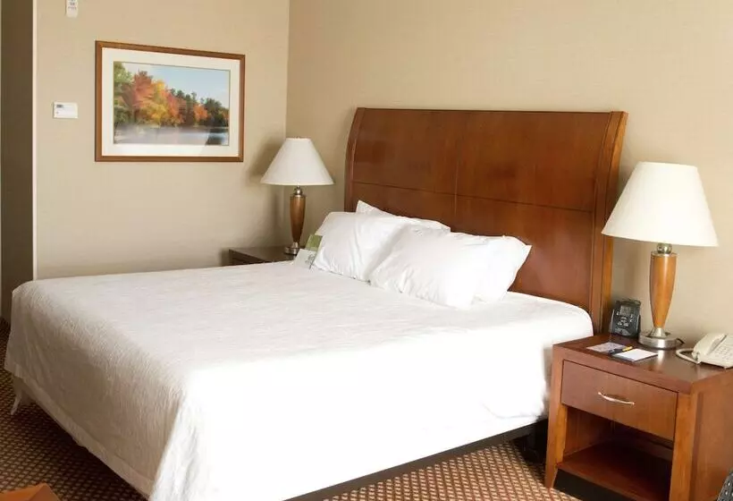 スタンダードルーム, Hilton Garden Inn Laramie