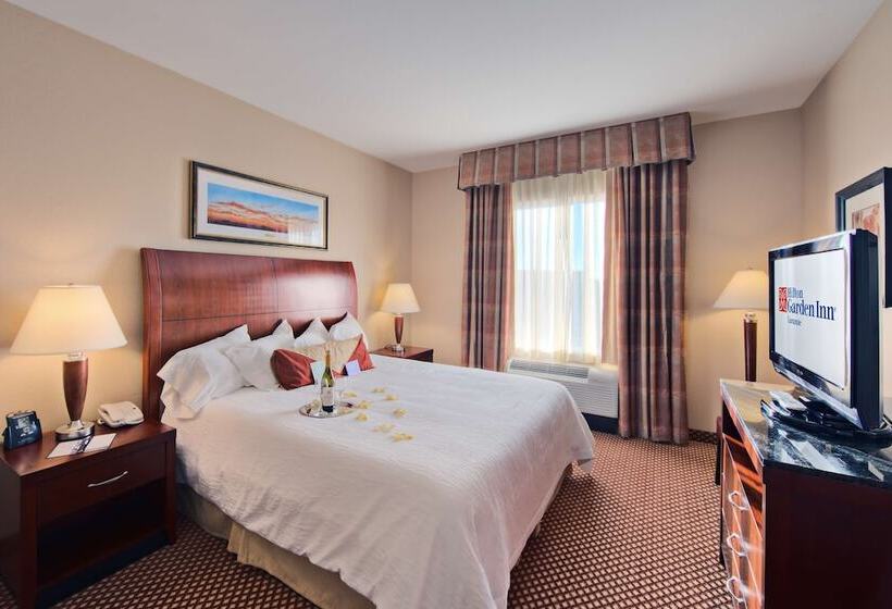 Номер Стандарт, Hilton Garden Inn Laramie
