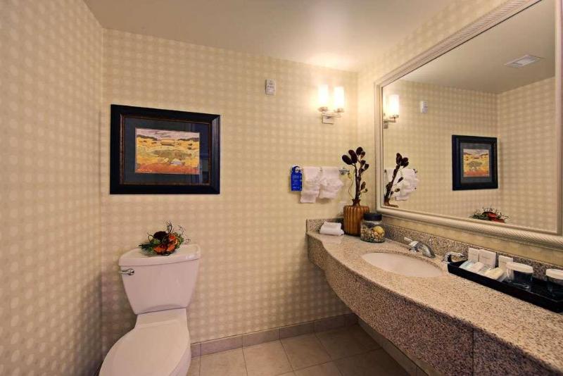 اتاق استاندارد با تخت بزرگ, Hilton Garden Inn Laramie