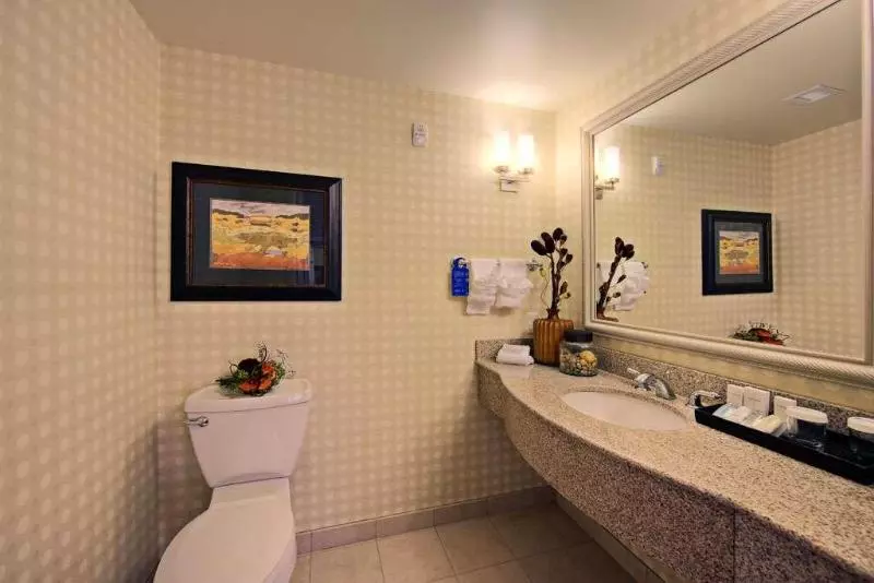 キングサイズベッドのスタンダードルーム, Hilton Garden Inn Laramie