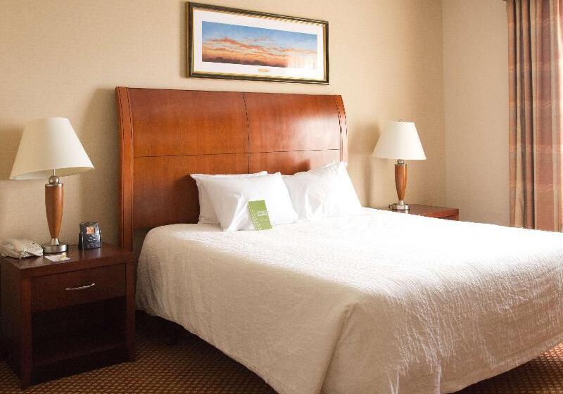 Стандартный Номер Кровать Кинг, Hilton Garden Inn Laramie