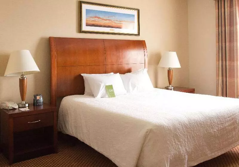 キングサイズベッドのスタンダードルーム, Hilton Garden Inn Laramie