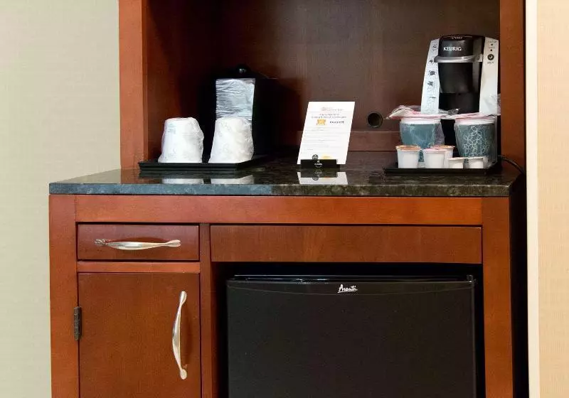キングサイズベッドのスタンダードルーム, Hilton Garden Inn Laramie