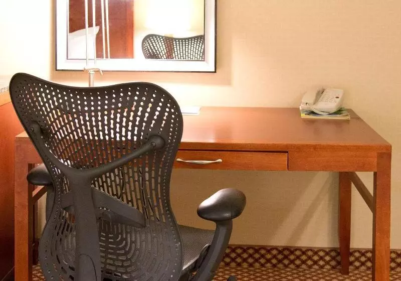 キングサイズベッドのスタンダードルーム, Hilton Garden Inn Laramie