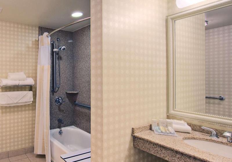اتاق استاندارد با تخت بزرگ, Hilton Garden Inn Laramie