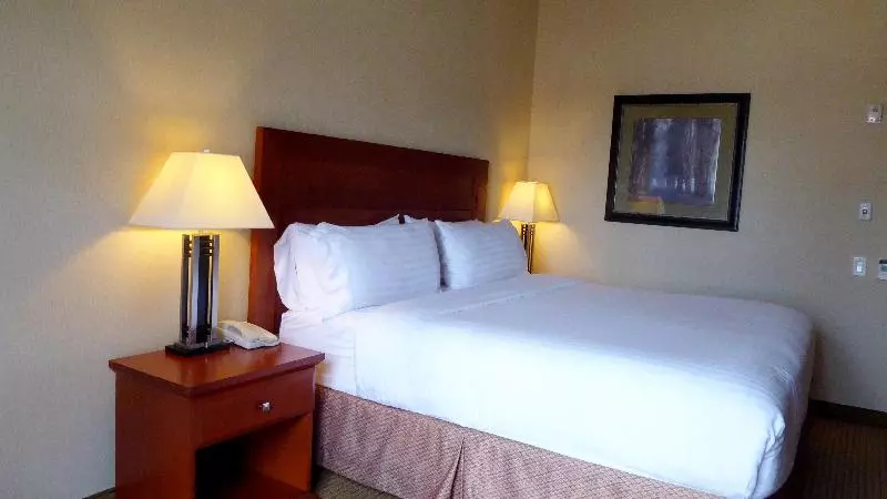 اتاق استاندارد با تخت بزرگ, Holiday Inn Express Grande Prairie, An Ihg