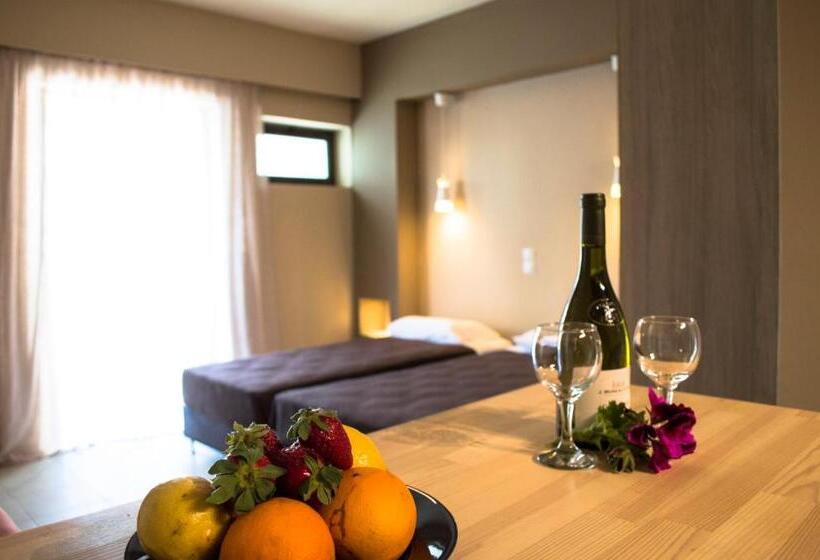 חדר סטודיו סטנדרד, Nireas