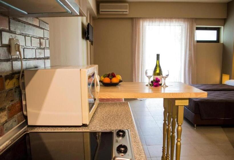 חדר סטודיו סטנדרד, Nireas