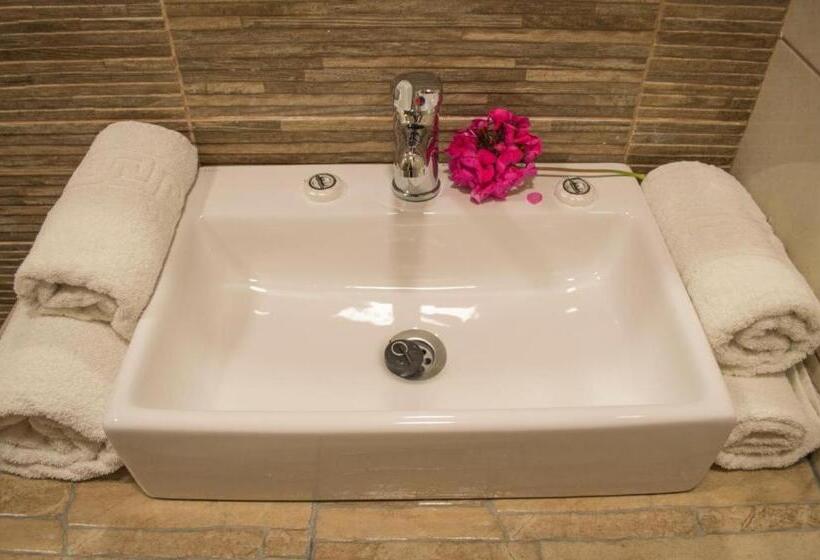 חדר סטודיו סטנדרד, Nireas