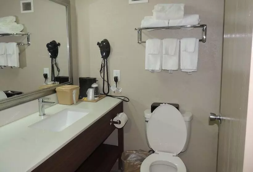 ２ダブルベッドのスタンダードルーム, Quality Inn