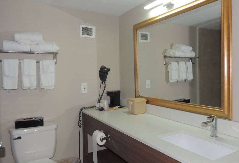 Номер Стандарт 2 Двуспальные Кровати, Quality Inn