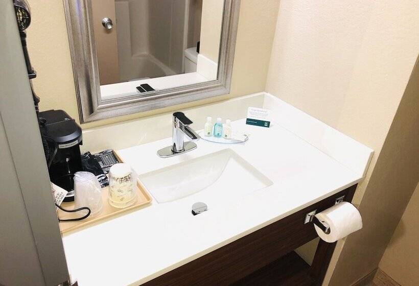 带2个双人床的标准工作室, Quality Inn