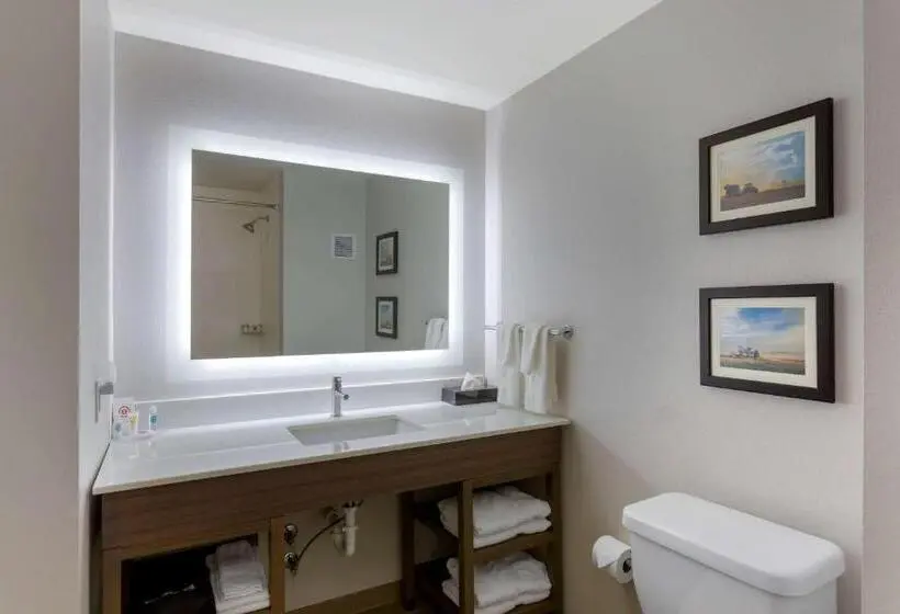 キングサイズベッドのスタンダードルーム, Comfort Inn Jonesboro Central