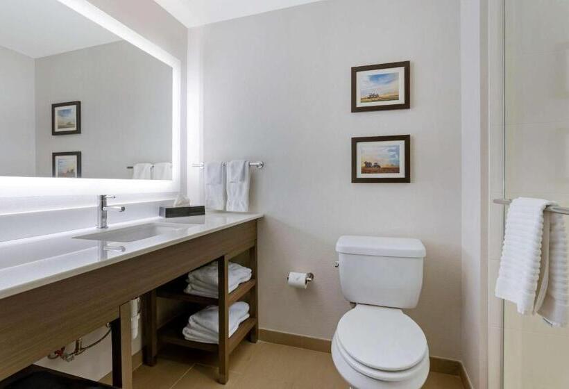 جناح سرير كينج, Comfort Inn