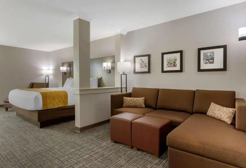 キングサイズベッドのスイートルーム, Comfort Inn Jonesboro Central