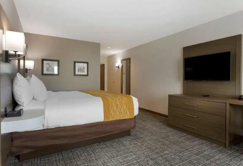 キングサイズベッドのスタンダードルーム, Comfort Inn Jonesboro Central