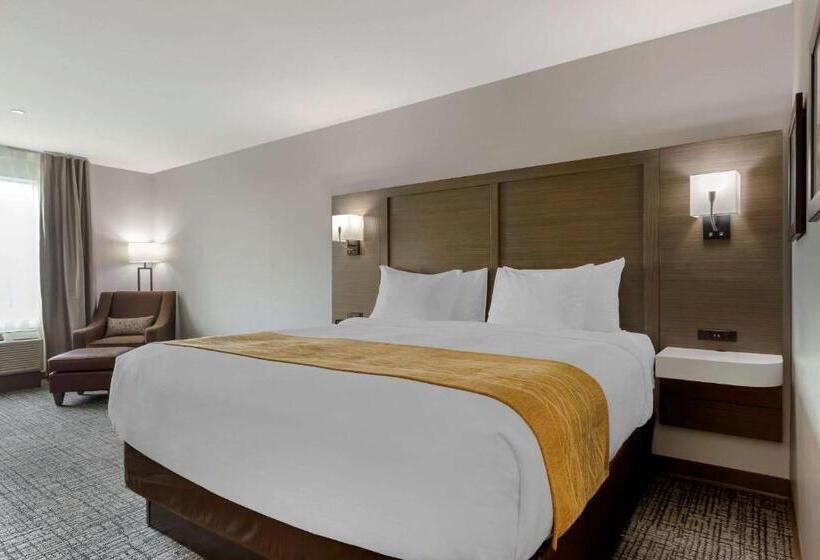 Стандартный Номер Кровать Кинг, Comfort Inn