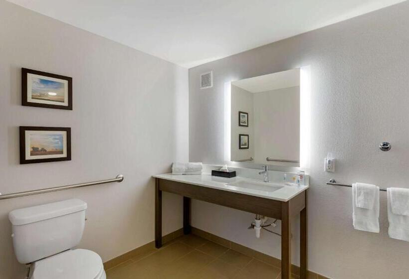 غرفة قياسية سرير كينج لذوى الإحتياجات الخاصة, Comfort Inn