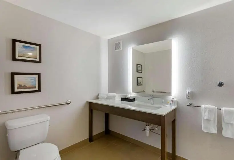 身障者適用キングサイズベッドルーム, Comfort Inn Jonesboro Central