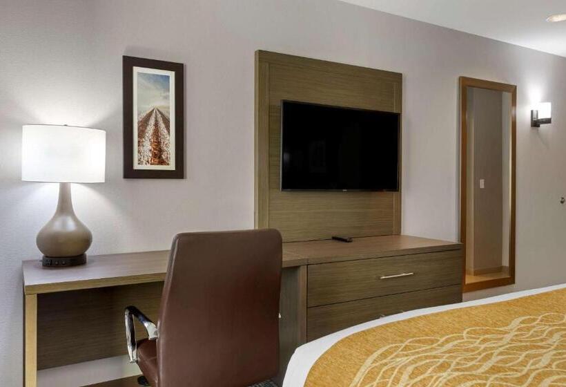 غرفة قياسية سرير كينج لذوى الإحتياجات الخاصة, Comfort Inn