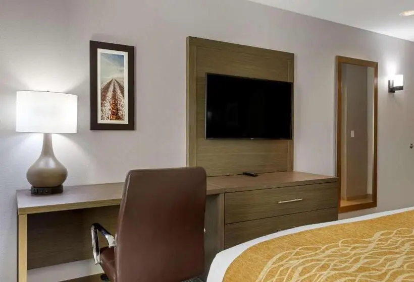 身障者適用キングサイズベッドルーム, Comfort Inn Jonesboro Central