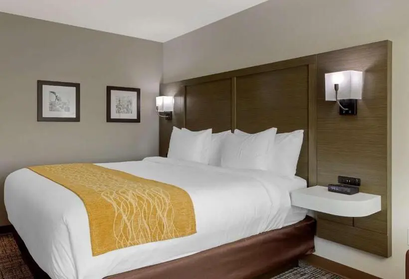 身障者適用キングサイズベッドルーム, Comfort Inn Jonesboro Central
